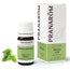 Pranarom Royal Melissa Essential Oil, 5ml