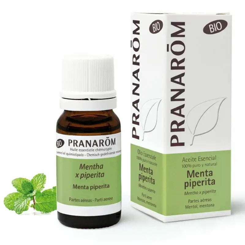 Pranarom Essential Oil Peppermint Organic, 10ml