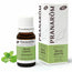 Pranarom Essential Oil Peppermint Organic, 10ml