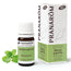 Pranarom Peppermint Essential Oil Bio, 5ml