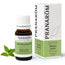 Pranarom Essential Oil Pennyroyal Mint, 10ml