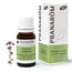 Pranarom Essential Oil Oregano Inflorescences Bio, 10ml