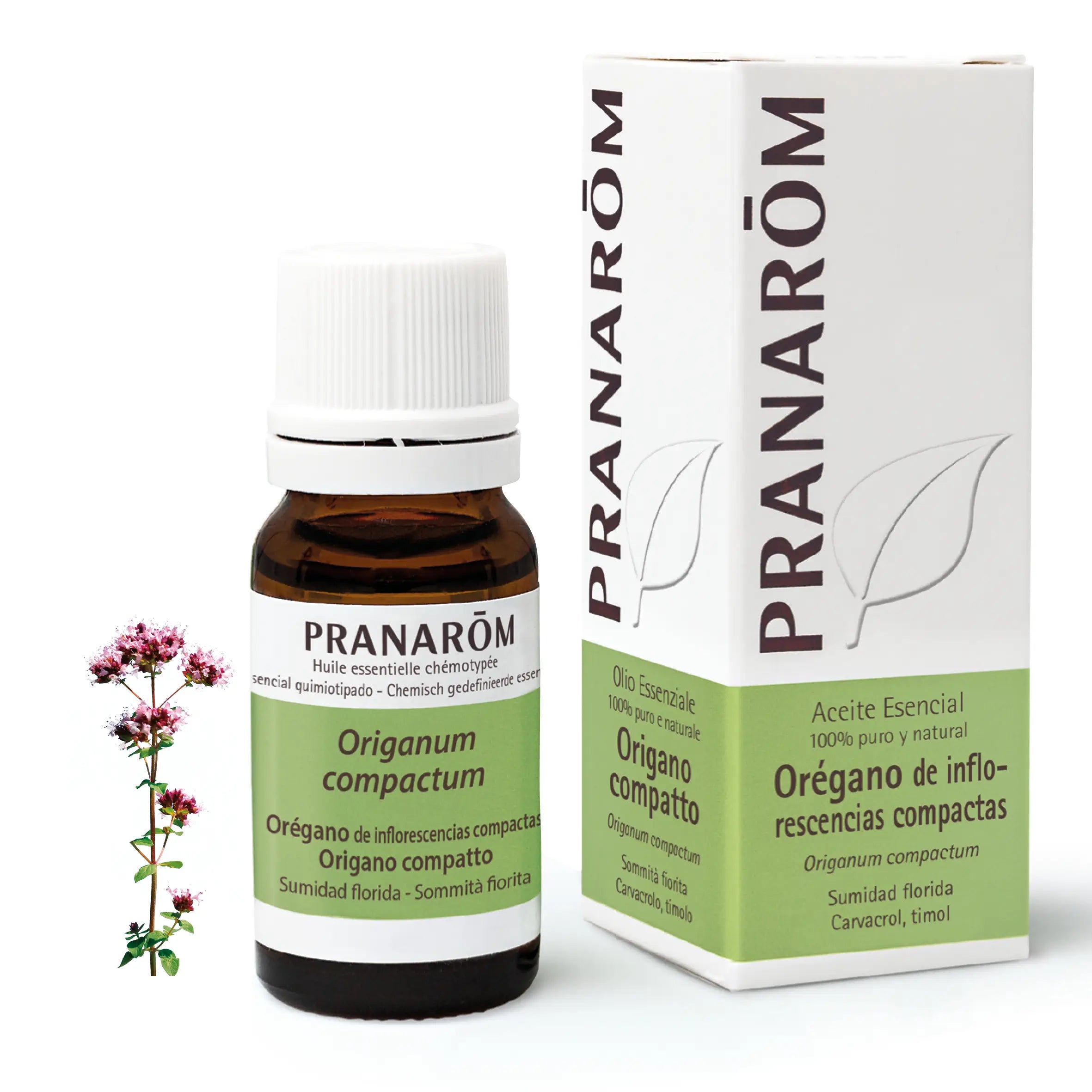 Pranarom Essential Oil Oregano Inflorescences, 10ml
