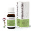 Pranarom Essential Oil Oregano Inflorescences, 10ml