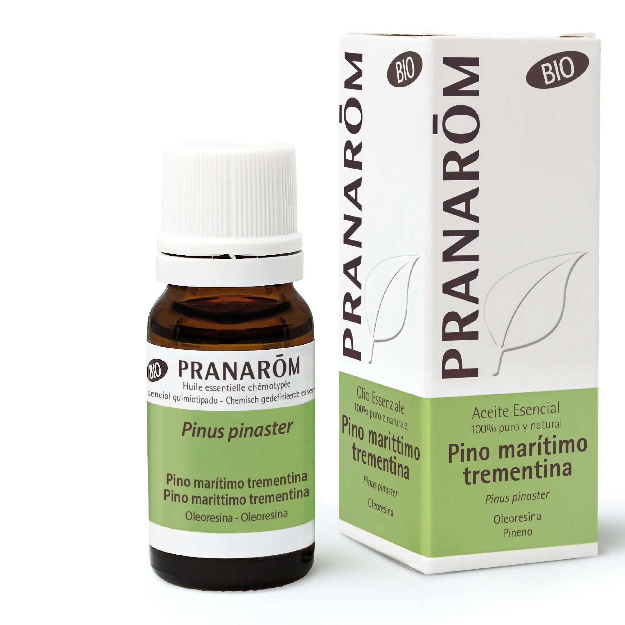 Pranarom Essential Oil Maritime Pine Bio, 10ml
