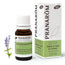Pranarom Sage Lavender Leaves Essential Oil Bio, 10ml