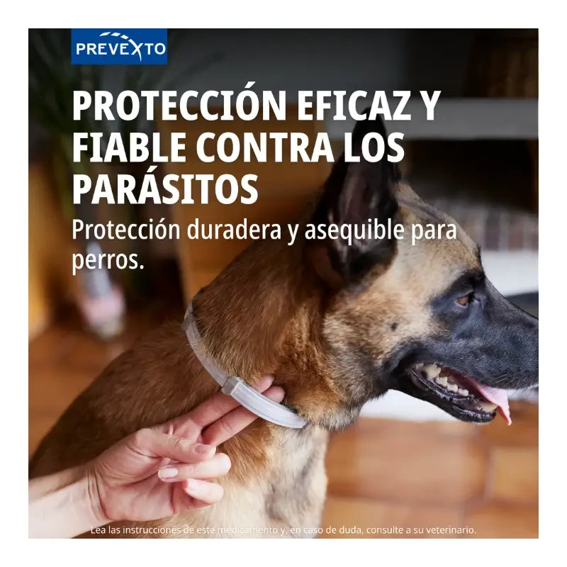 Prevexto-Halsband zur Parasitenbekämpfung für Hunde bis 8 kg, 38 cm