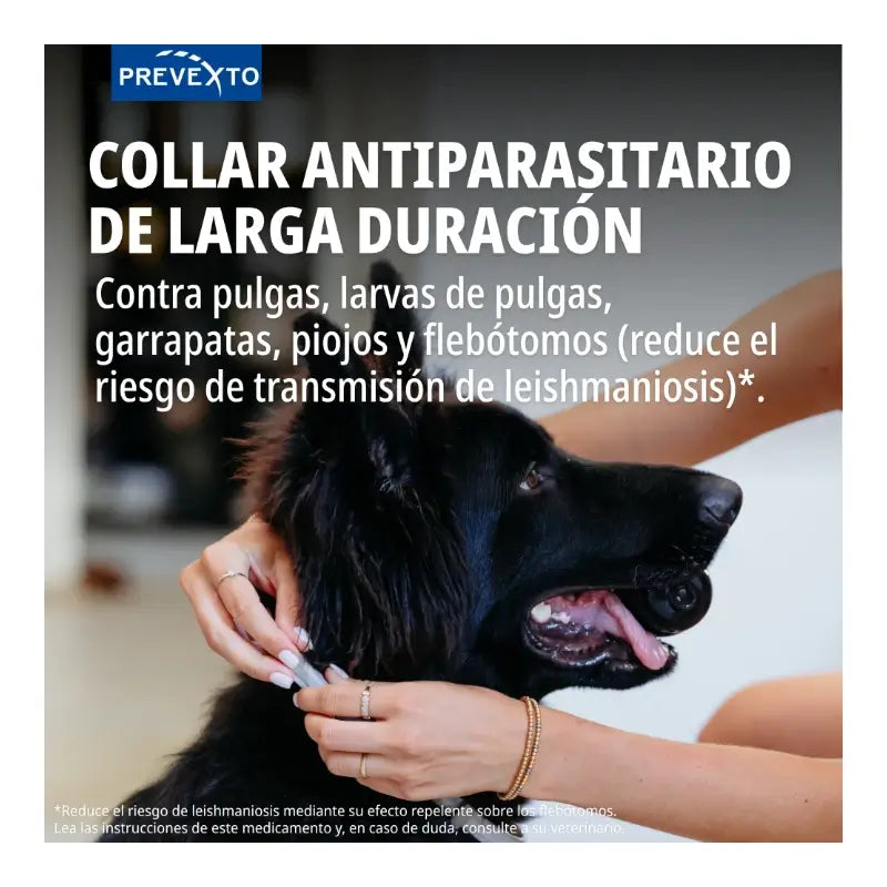 Prevexto-Halsband zur Parasitenbekämpfung für Hunde bis 8 kg, 38 cm