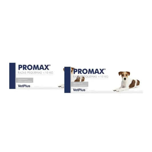 Promax Pack 2 x 9 ml, Nahrungsergänzungsmittel gegen Durchfall für Hunde kleiner Rassen