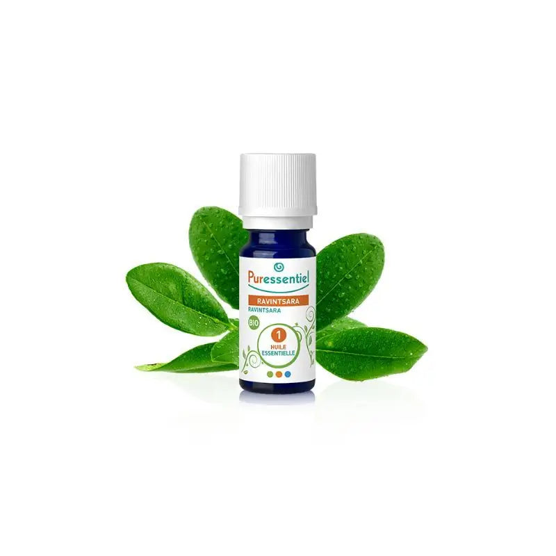 Puressentiel Ravintsara Ätherisches Öl Bio, 10 ml