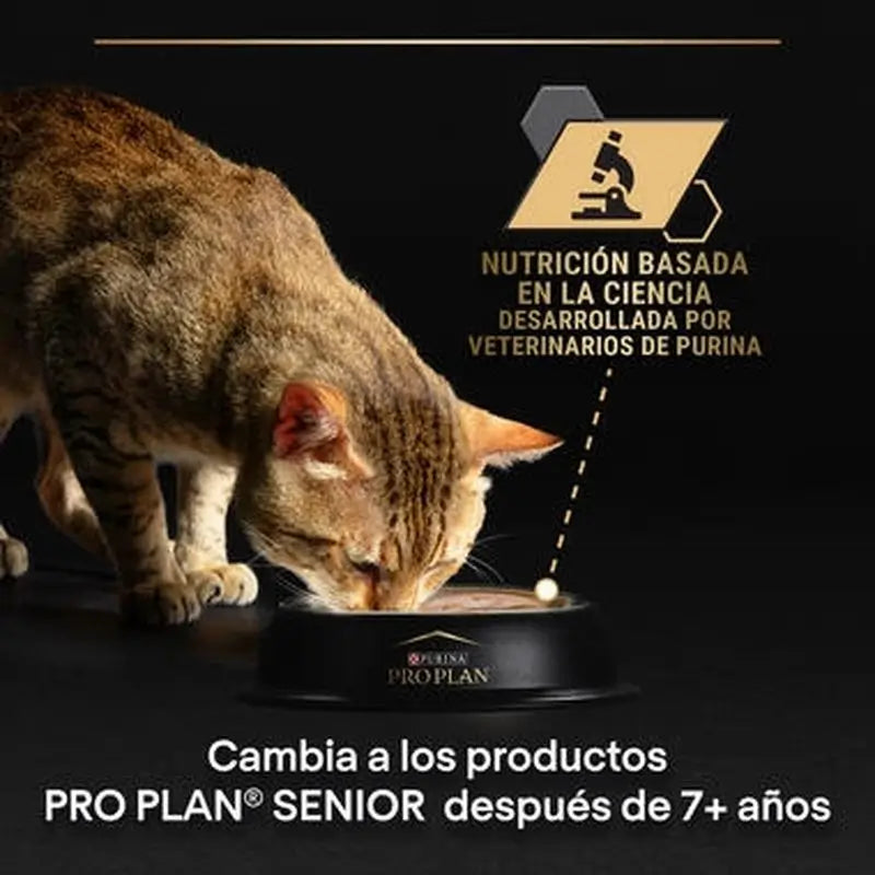 Purina Pro Plan Feline Delicate Turkey 26X85Gr, Nassfutter für Katzen