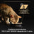 Purina Pro Plan Feline Delicate Turkey 26X85Gr, Nassfutter für Katzen