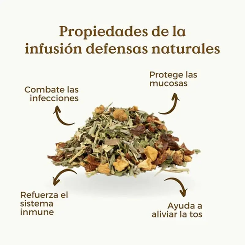 Replantea Natürliche Verteidigung Infusion Eco, 100 g