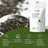 Replantea Bio-Jasmin-Grüntee, 100 g