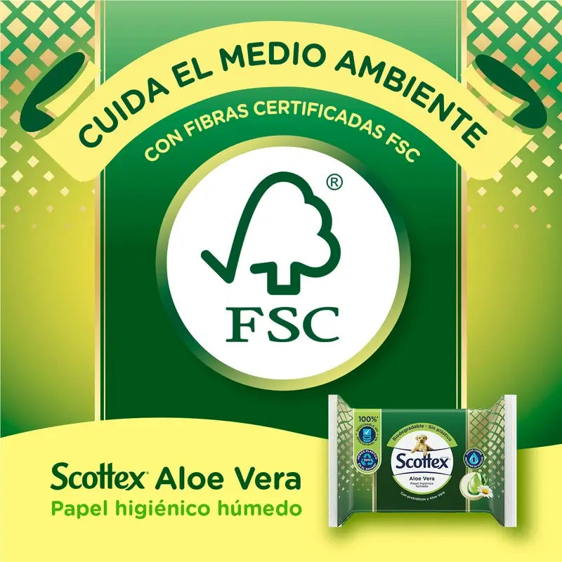 Scottex Aloe Vera Feuchtes Toilettenpapier , 66 Stück
