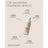 Sensilis Upgrade Make Up Lift Effekt Creme Make Up 01 Beige 30 ml