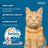 Seresto Katzenhalsband Pack 3 Stück