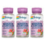 Solaray Berberin & Curcumin Pack 3 x 60 Kapseln