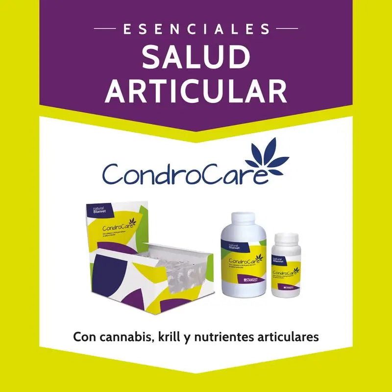 Stangest Chondrocare 90 Tabletten