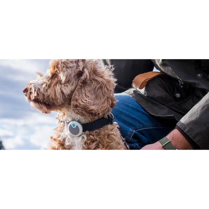 Sure PetCare Animo - Verhaltens- und Aktivitätsmonitor für Hunde.