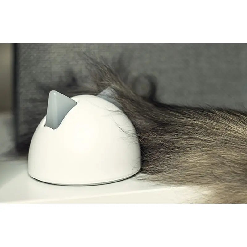 Sure PetCare SureFlap- Haustiertor mit Microchip Connect + Hub