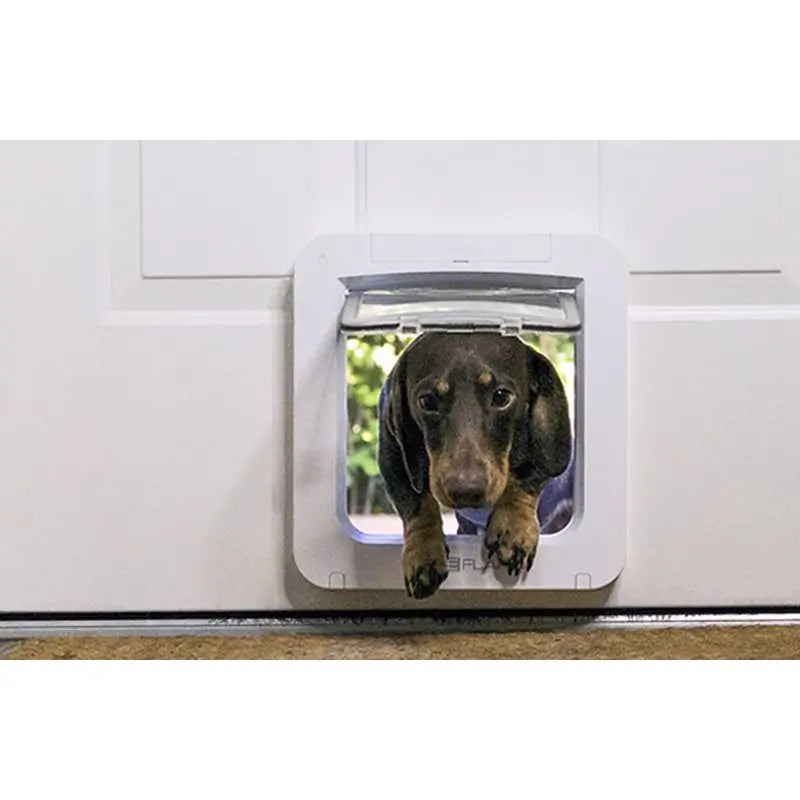 Sure PetCare SureFlap- Haustiertor mit Microchip Connect + Hub