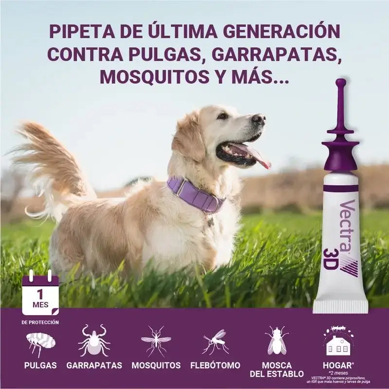 Vectra 3D Hund 1,5-4 Kg, Pack 2 x 3 Pipetten