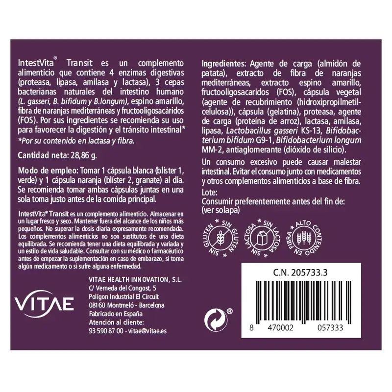 IntestVita Transit 60 Kapseln – Mit Ballaststoffen und Probiotika