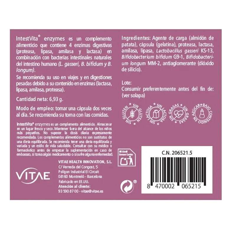 IntestVita Enzymes 15 Kapseln – Mit Enzymen und Probiotika