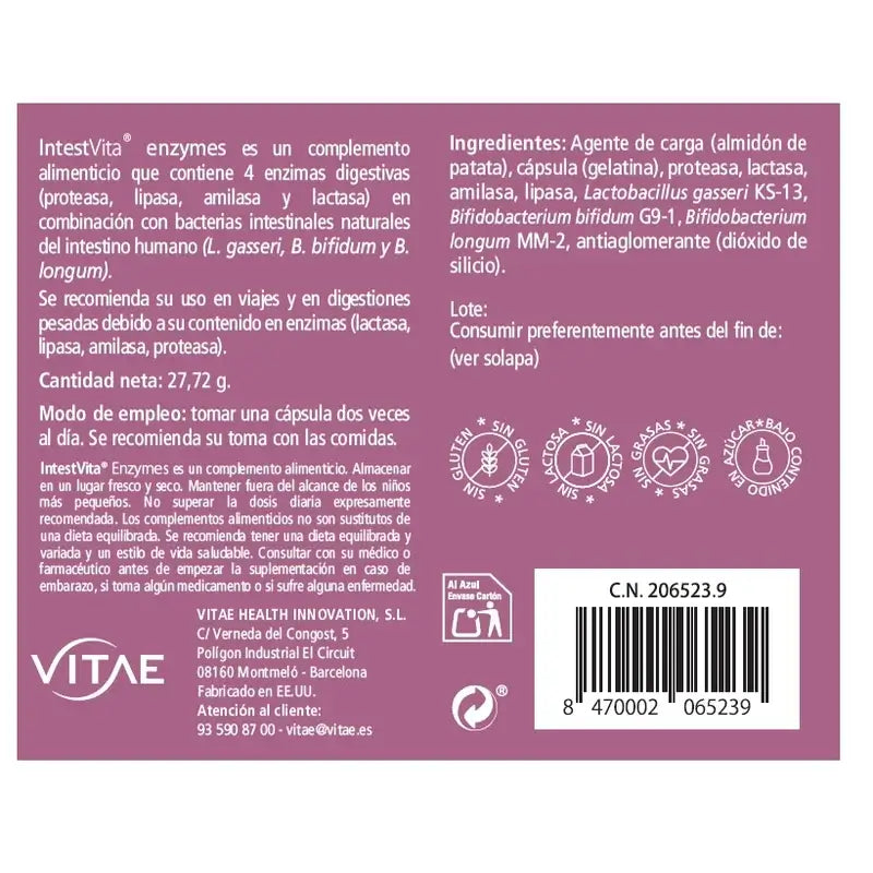 IntestVita Enzymes 60 Kapseln – Mit Enzymen und Probiotika