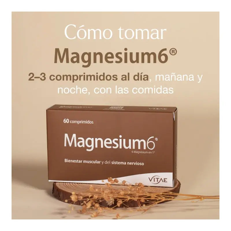 Magnesium6 20 Tabletten – Mit 6 Magnesiumsalzen, Vitamin B6 und Taurin