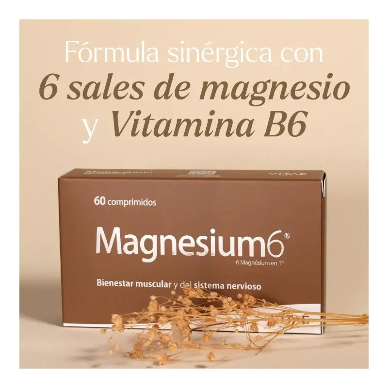 Magnesium6 60 Tabletten – Mit 6 Magnesiumsalzen, Vitamin B6 und Taurin