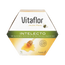 Vitaflor Intellect 20 Fläschchen