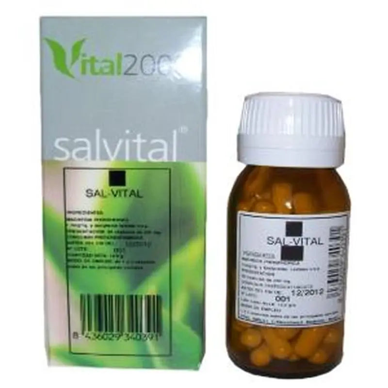 Vital 2000 Salvital Nº2 Cs Calcarea Sulphurica 50 Capsules