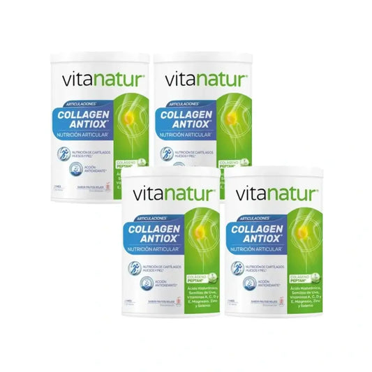 Vitanatur Kollagen Antiox Plus, 4X360 Gr