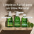 Weleda Perfektionierendes Gesichtswasser, 150 ml