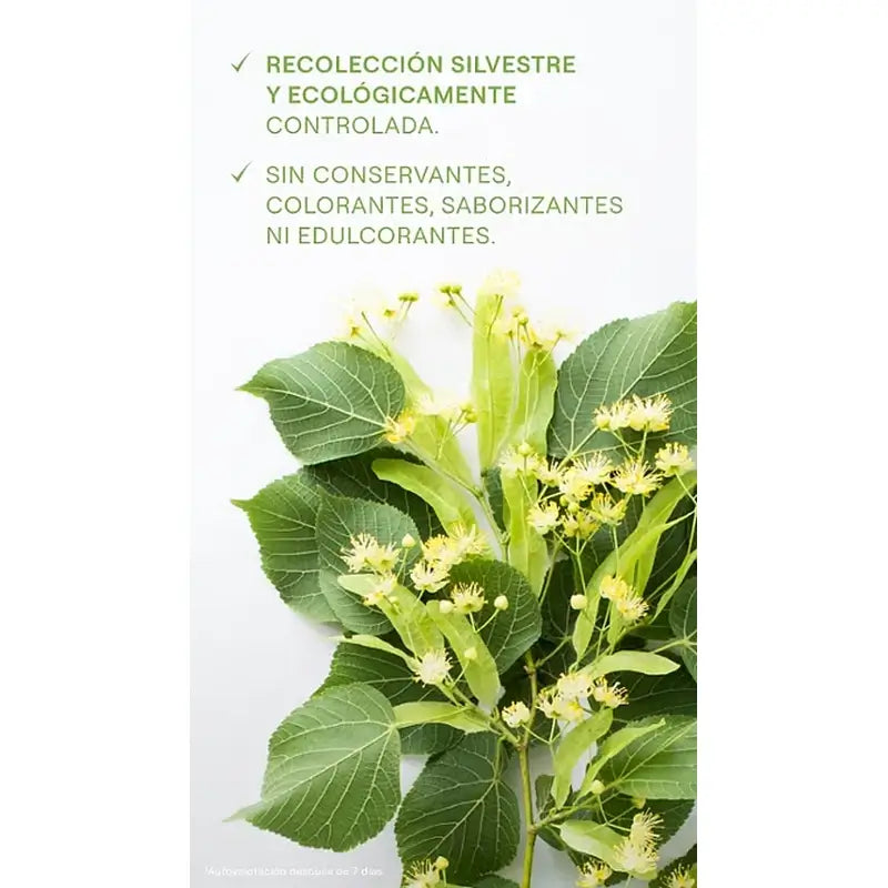 Weleda Birkensaft, 200 ml