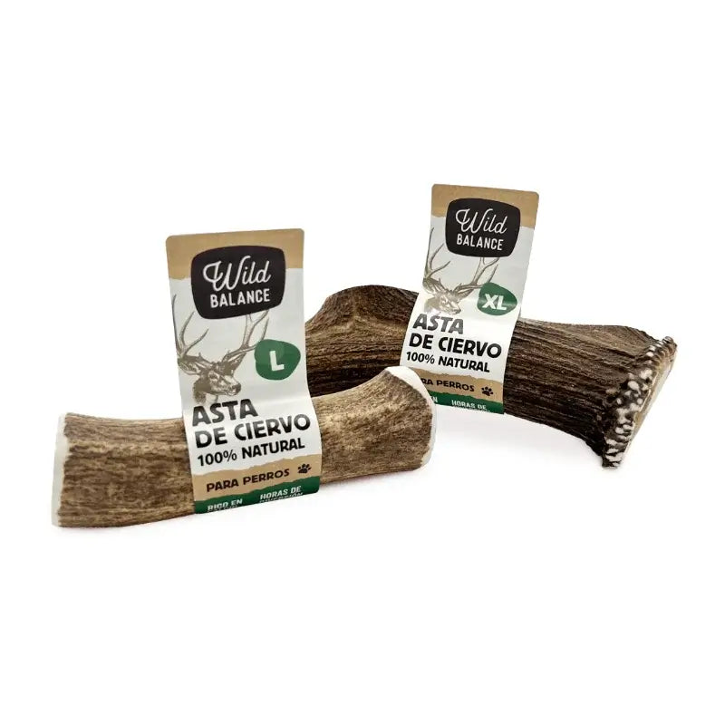 Wild Balance – Ganzer Hirschknochen M – Natürlicher Kausnack für Hunde