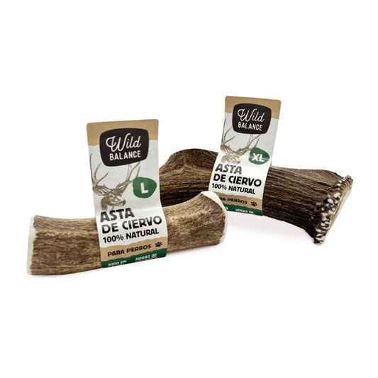 Wild Balance – Ganzer Hirschknochen M – Natürlicher Kausnack für Hunde