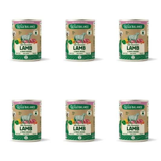 Wild Balance Philosophie Lamm Barf für Hunde, 400g, 6er Pack