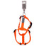 Wouapy Basic Line Harness Orange 25Mm/63-97Cm