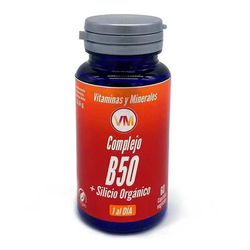 Ynsadiet Complex B50 + Silizium 60Cap.